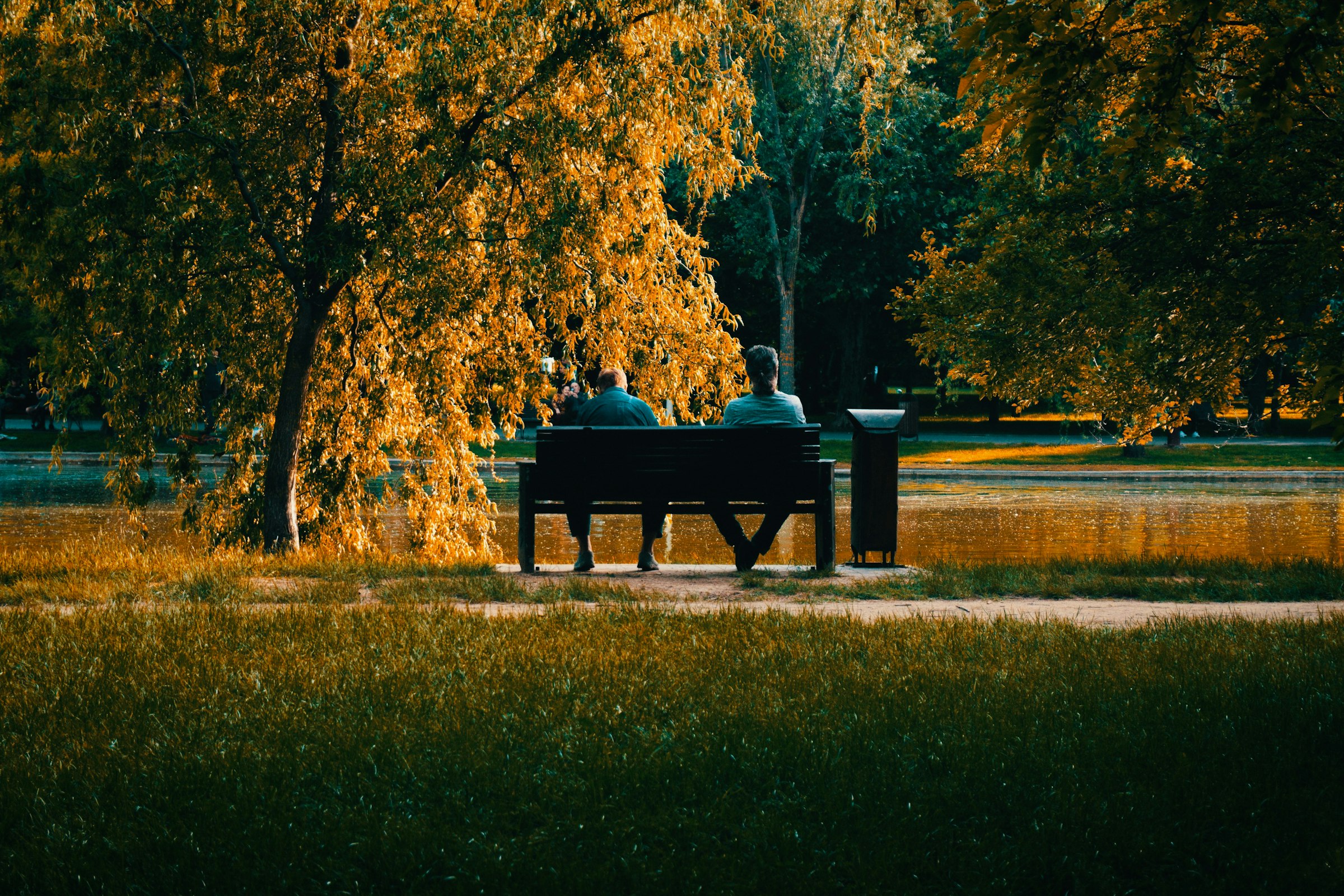 Two people sitting together on a park bench