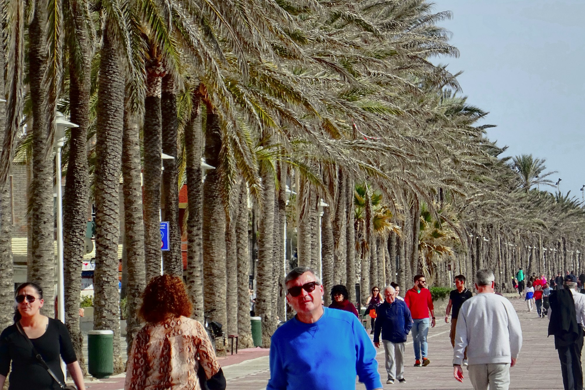 People walking along a palm-lined promenade
